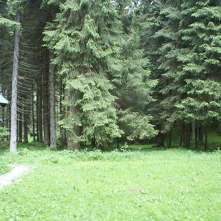 Domek alpejski Machnato - Jasna Dolina Demianowska